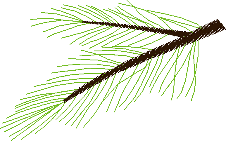 In The Timber 1  (9)