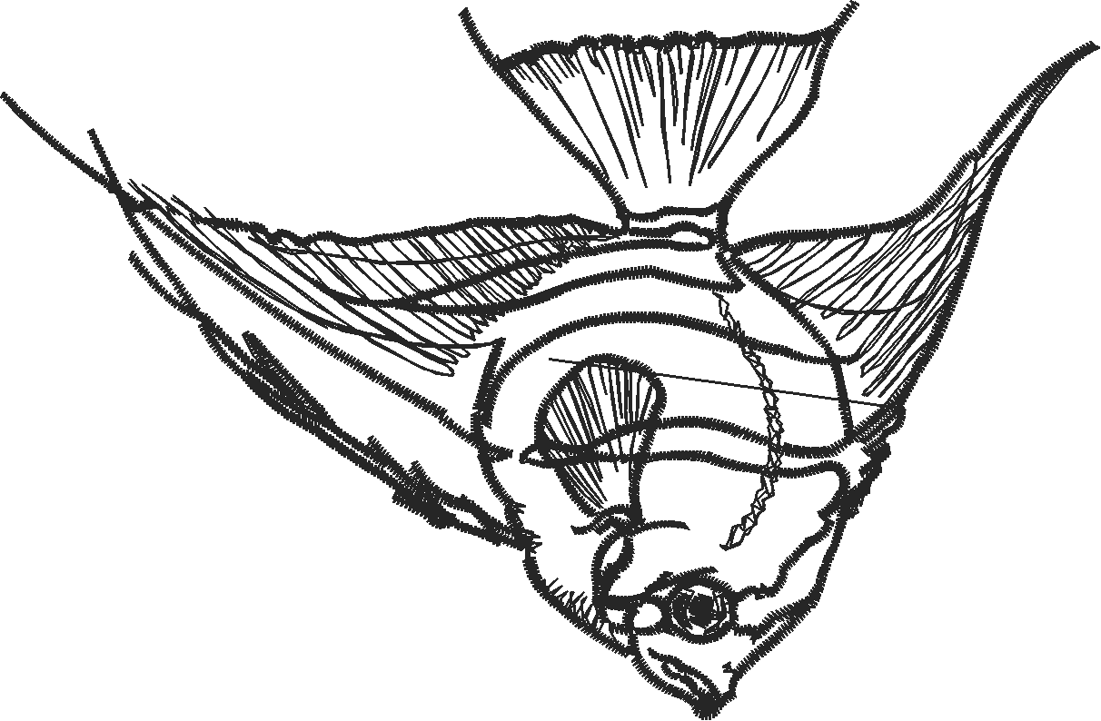 Island Fantasy 1 (17)