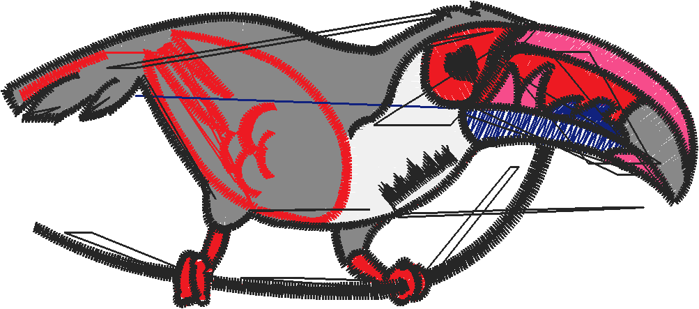 Island Fashion 1  (4)