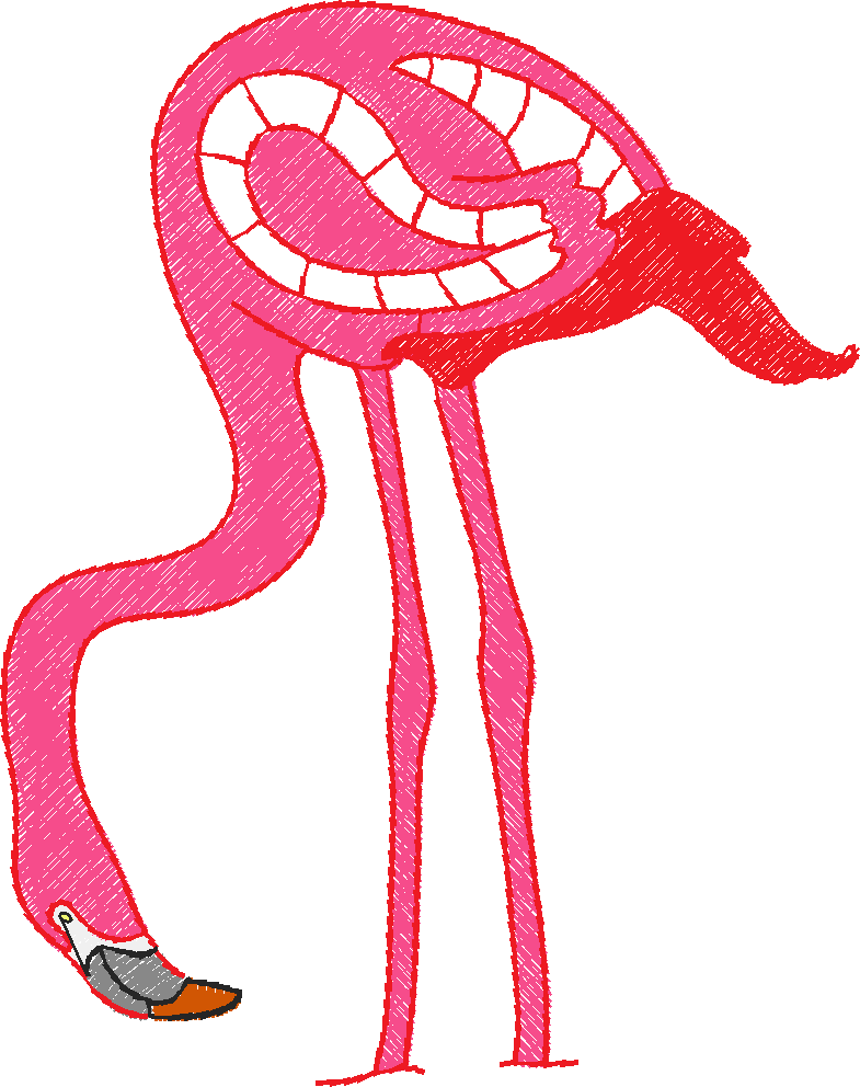 Jacobean 12 - Tropical Birds  (29)