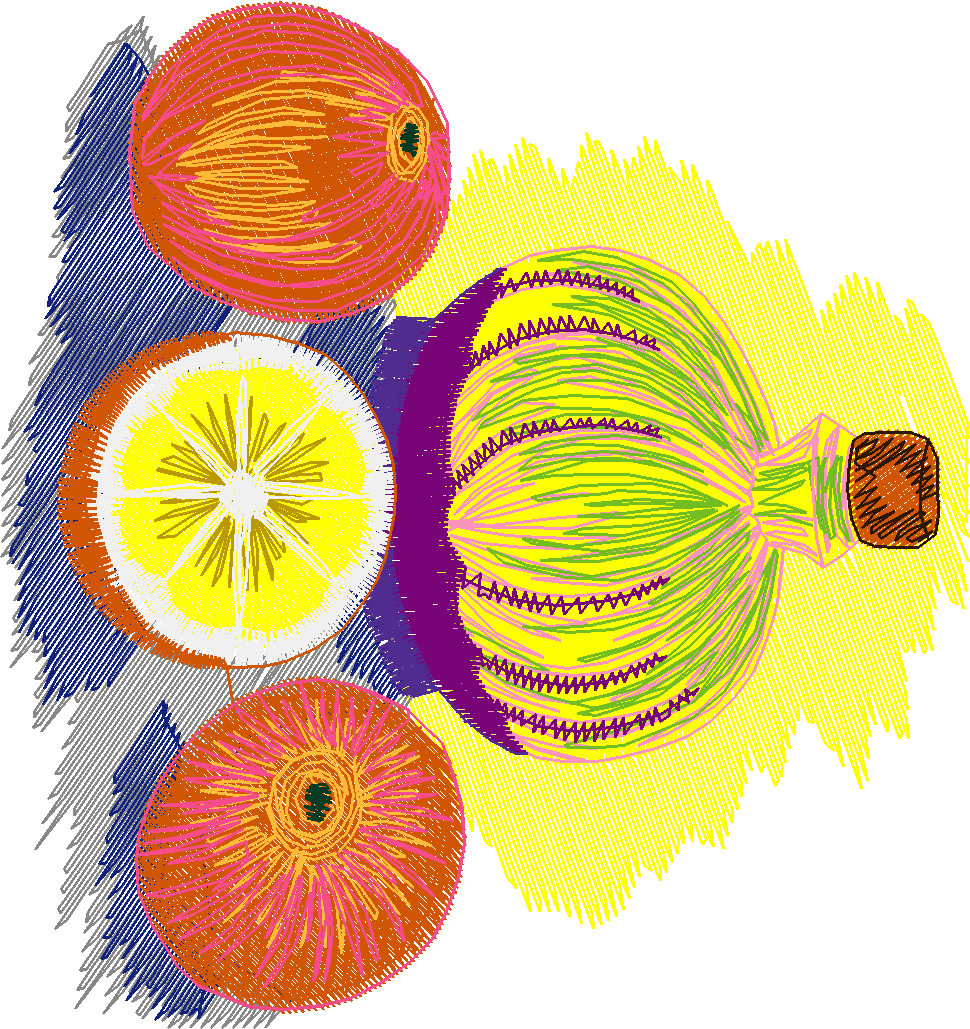 Jugs With Fruit 1 (18)