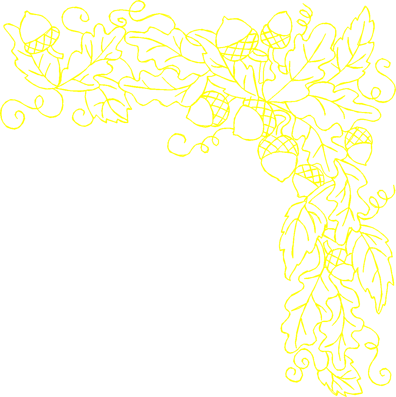 Jumbo - Autumn 1  (11)