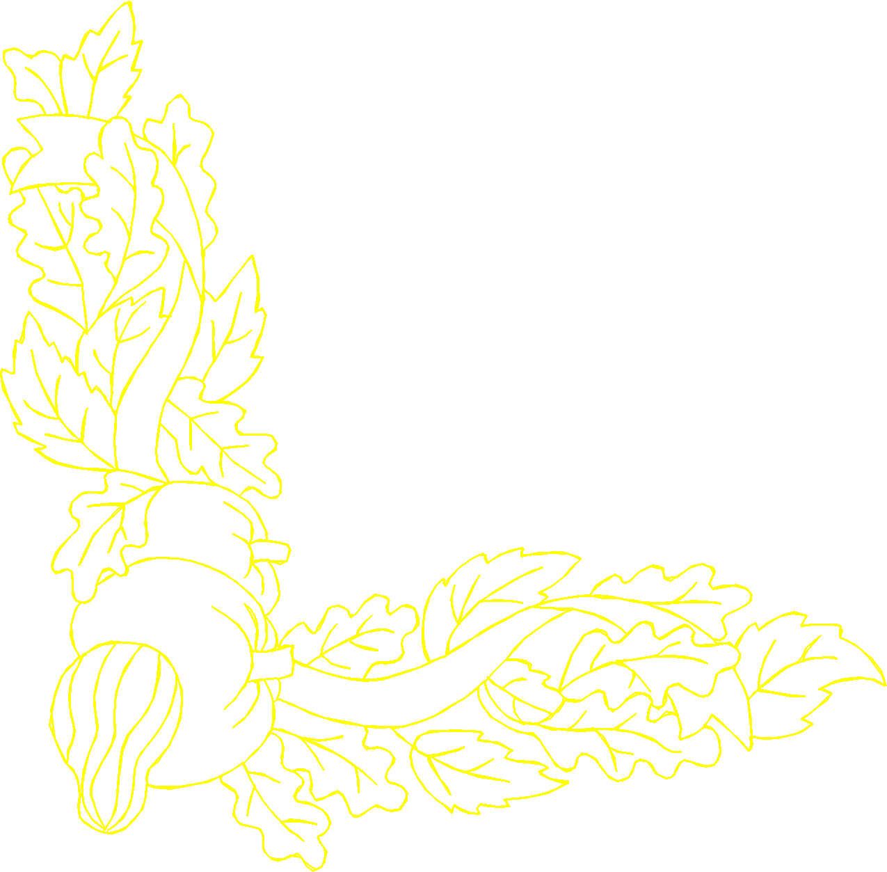 Jumbo - Autumn 1  (13)