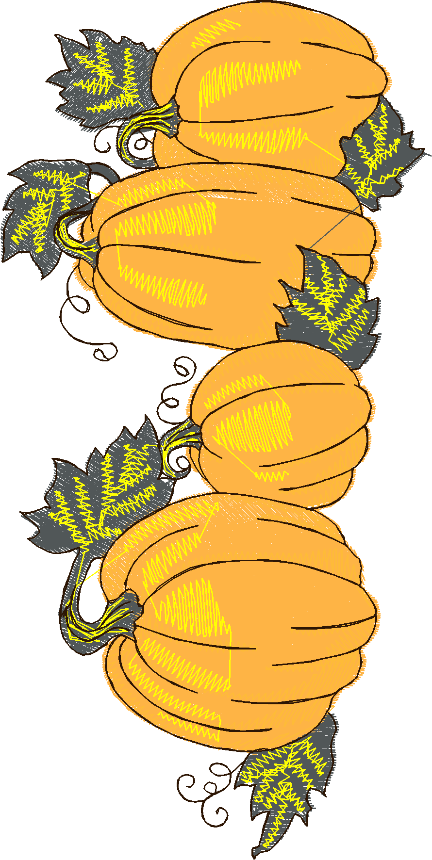 Jumbo - Autumn 1  (5)