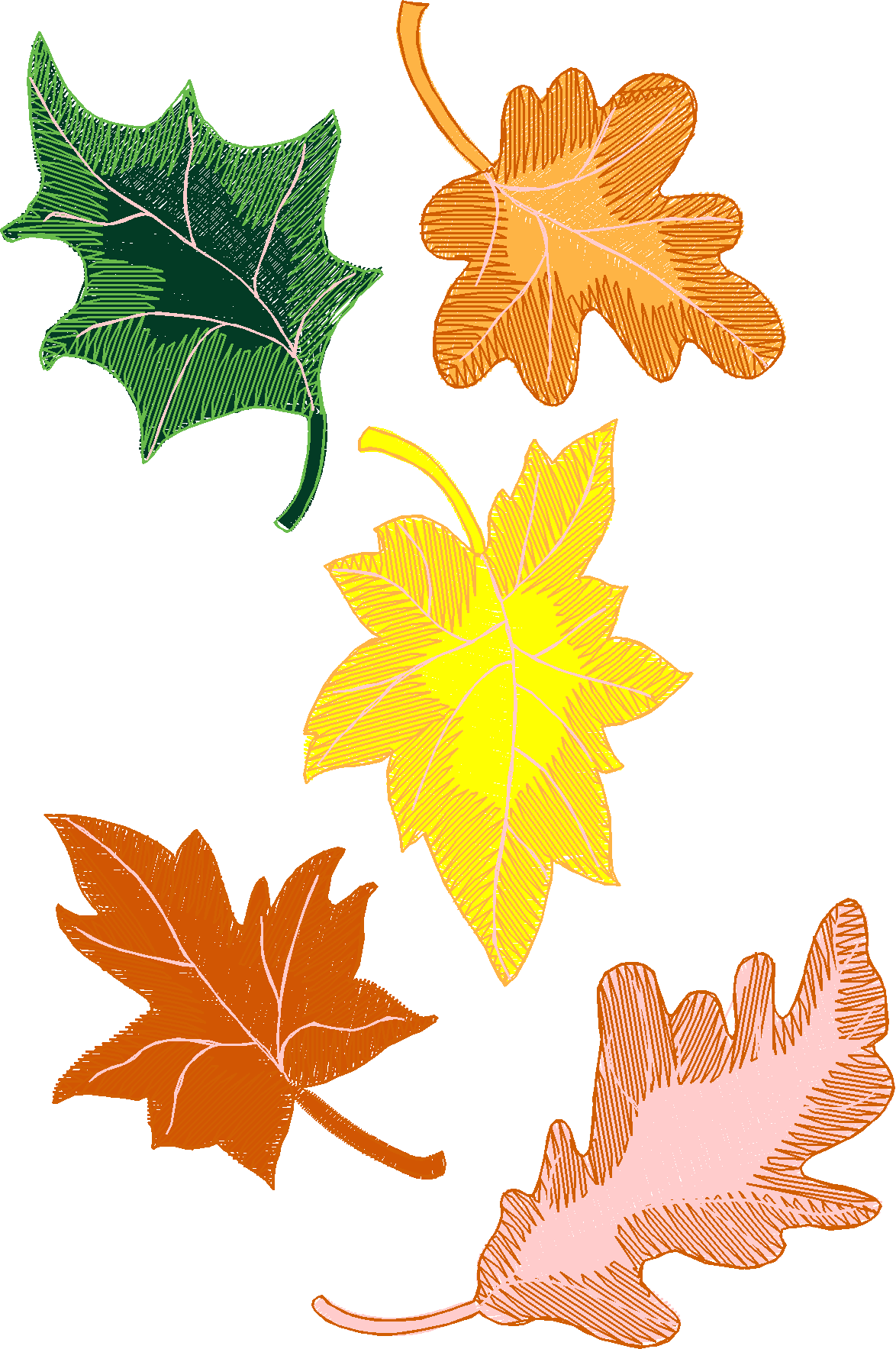 Jumbo - Autumn 1  (6)