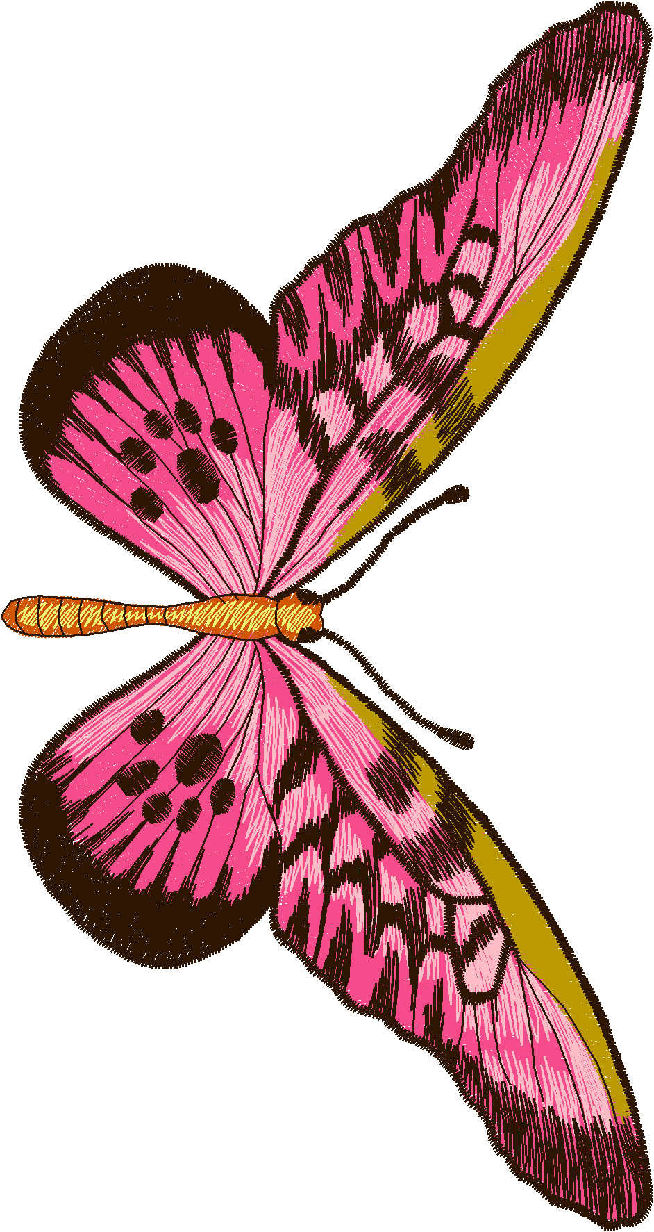 Jumbo - Butterflies 1  (1)