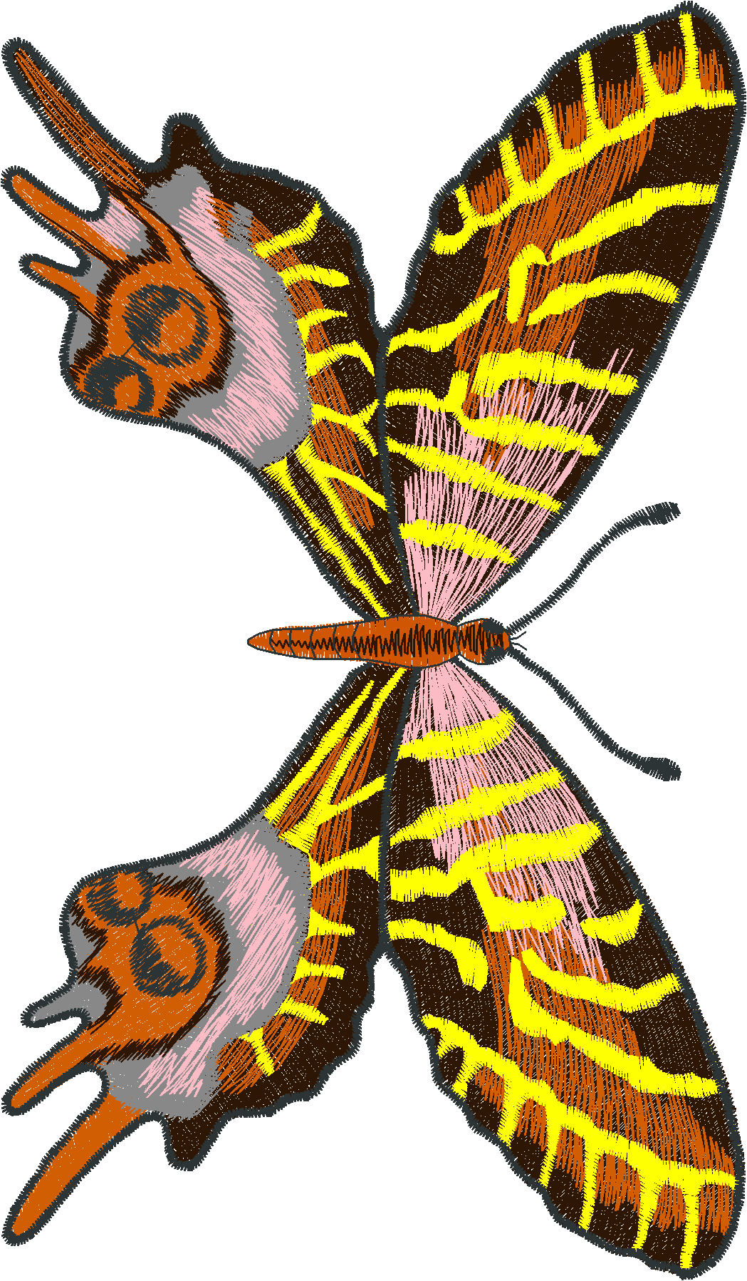 Jumbo - Butterflies 1  (2)