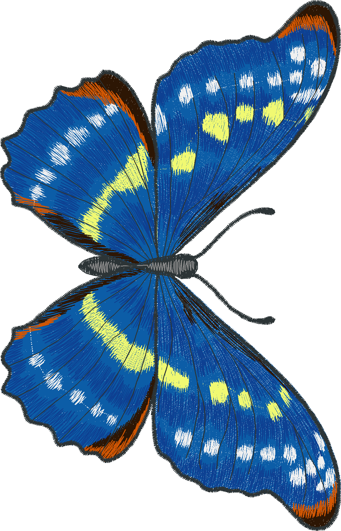 Jumbo - Butterflies 1  (3)