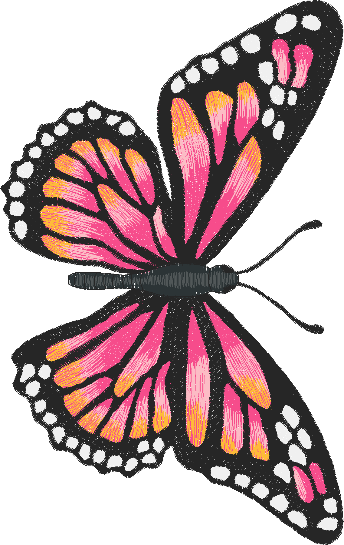 Jumbo - Butterflies 1  (4)