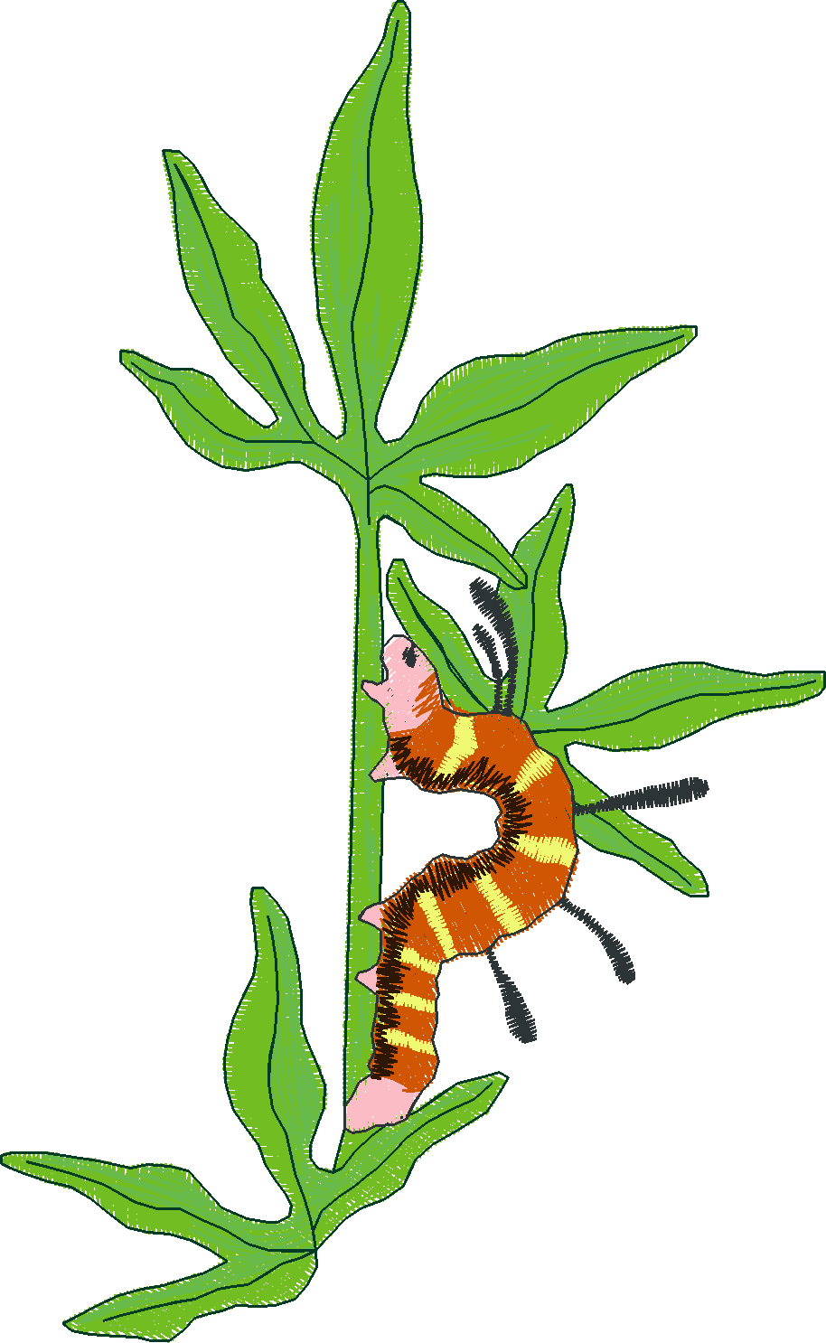 Jumbo - Butterflies 1  (5)