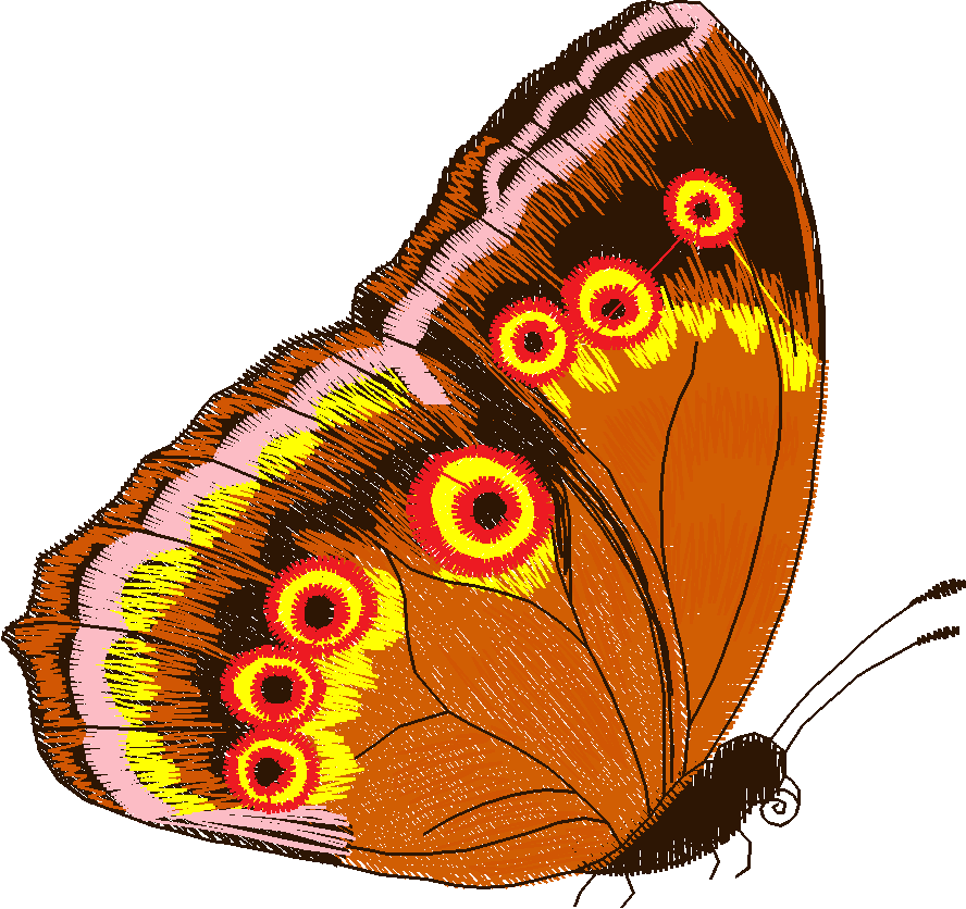 Jumbo - Butterflies 1  (6)