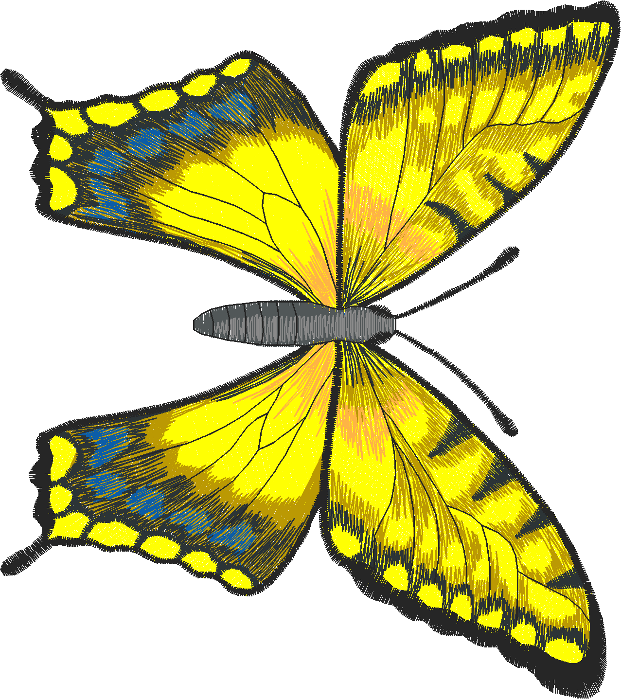Jumbo - Butterflies 1  (7)