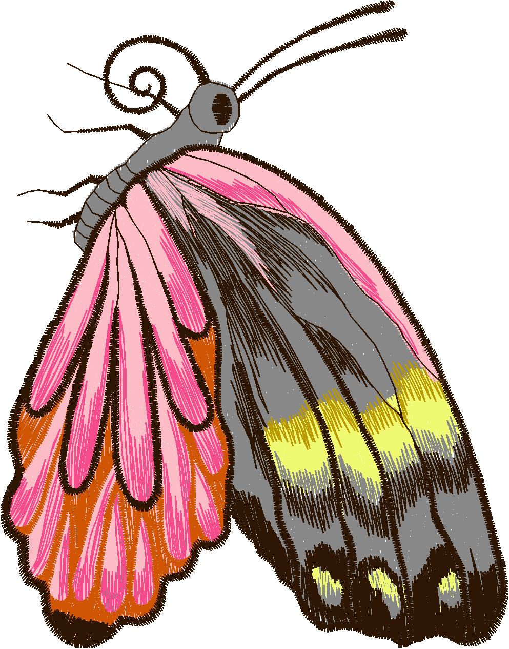 Jumbo - Butterflies 1  (8)