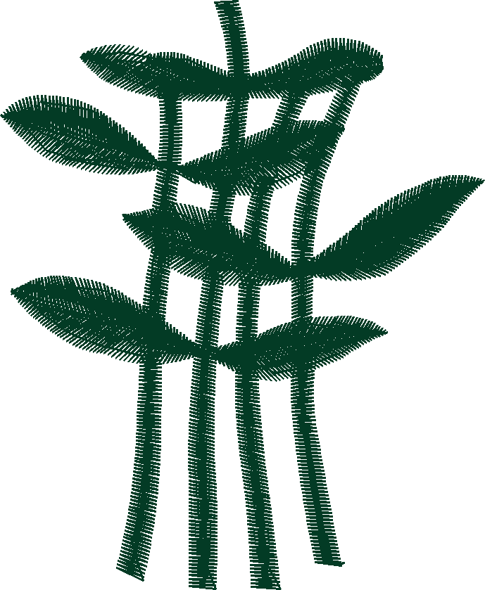 Jumbo - Floral 1  (11)