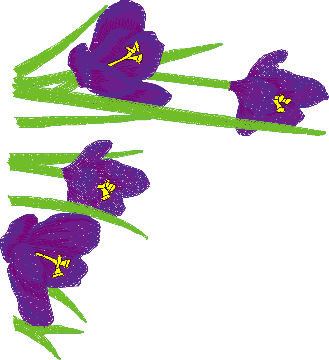 Jumbo - Flowers 1 (11)