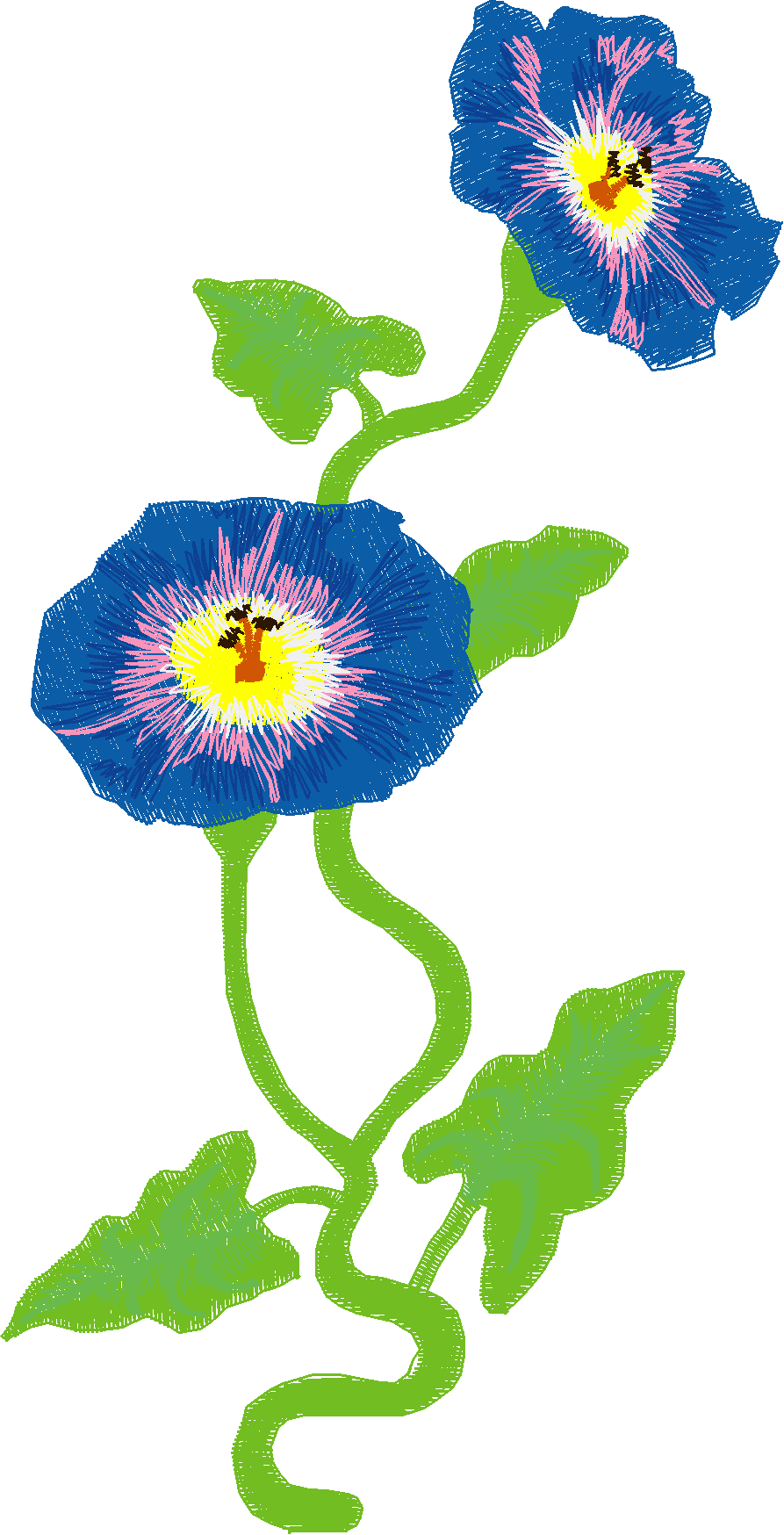 Jumbo - Flowers 1 (2)