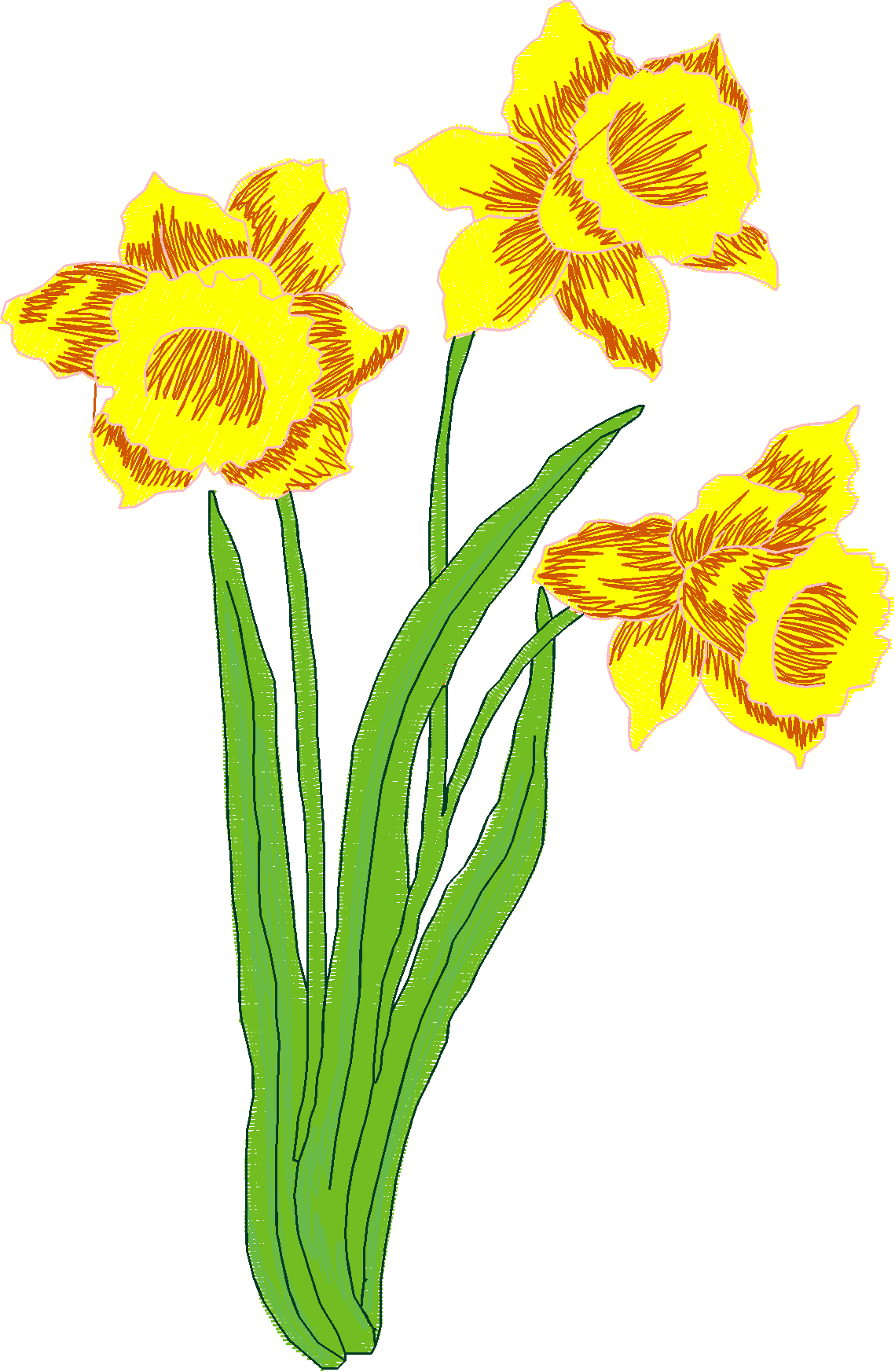 Jumbo - Flowers 1 (3)