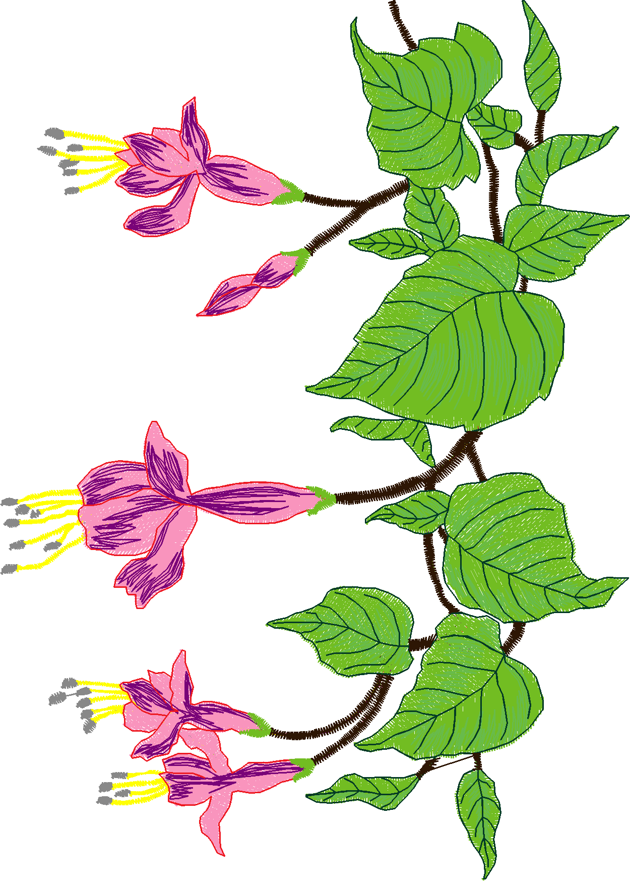 Jumbo - Flowers 1 (4)