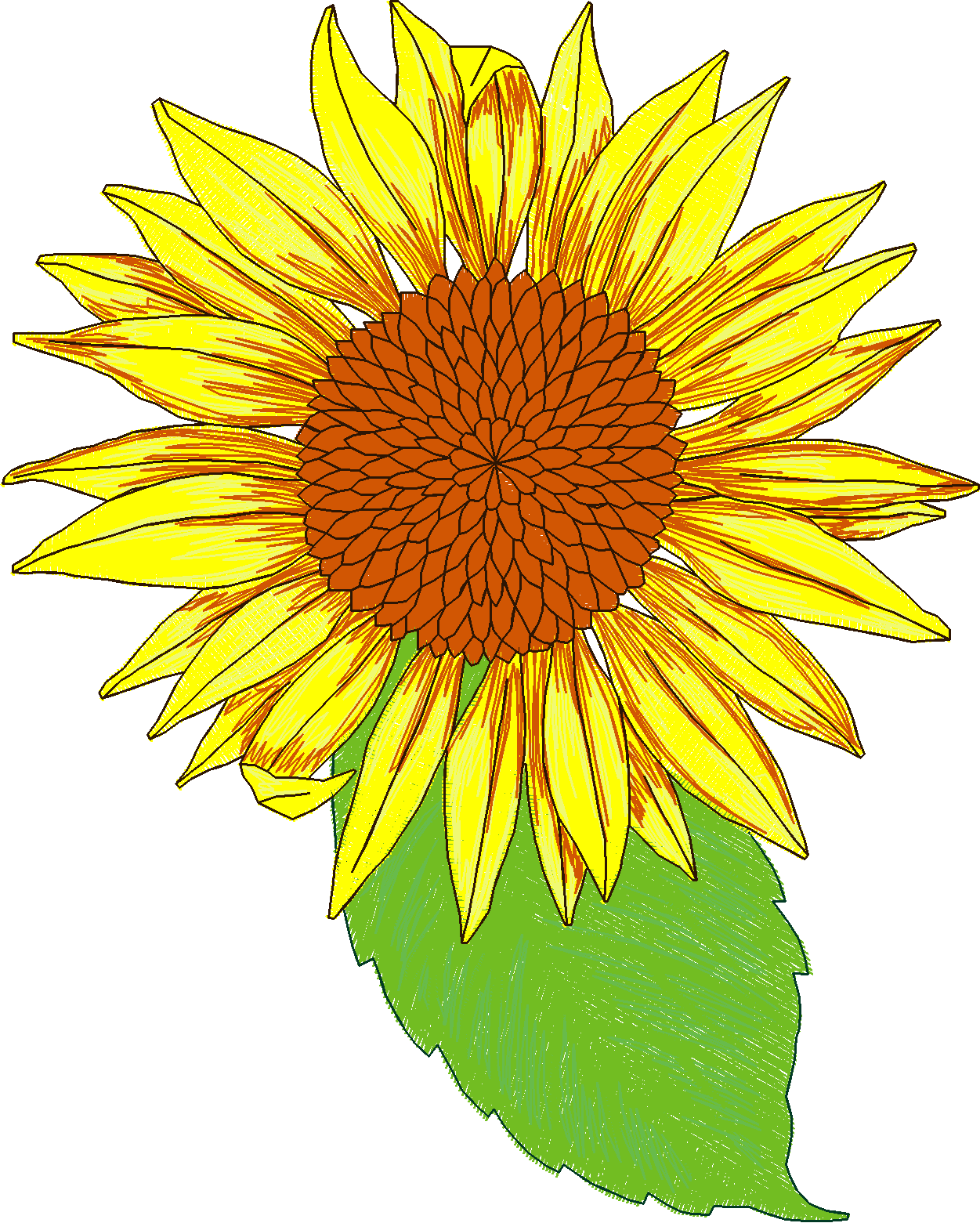 Jumbo - Flowers 1 (5)