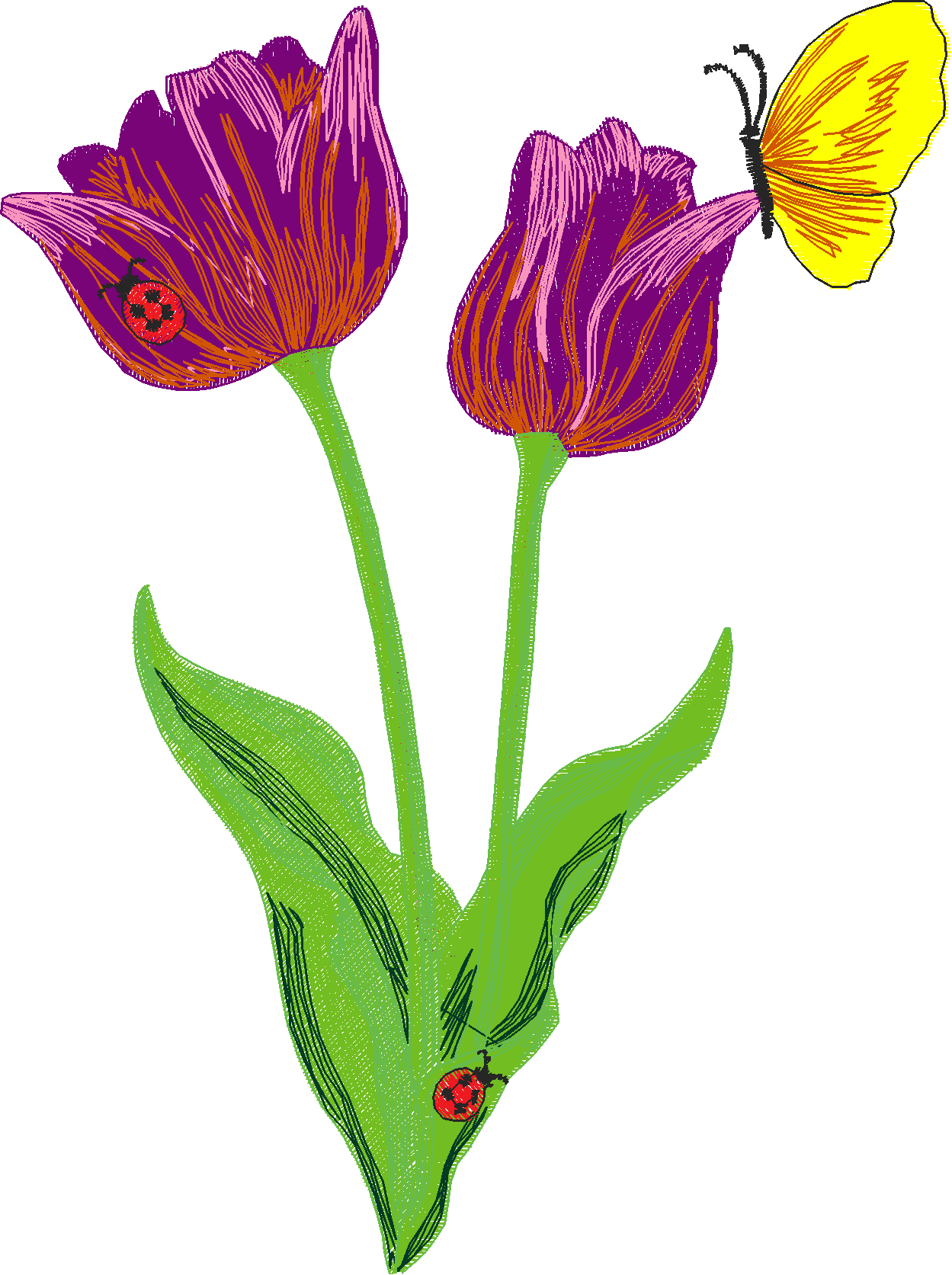 Jumbo - Flowers 1 (7)