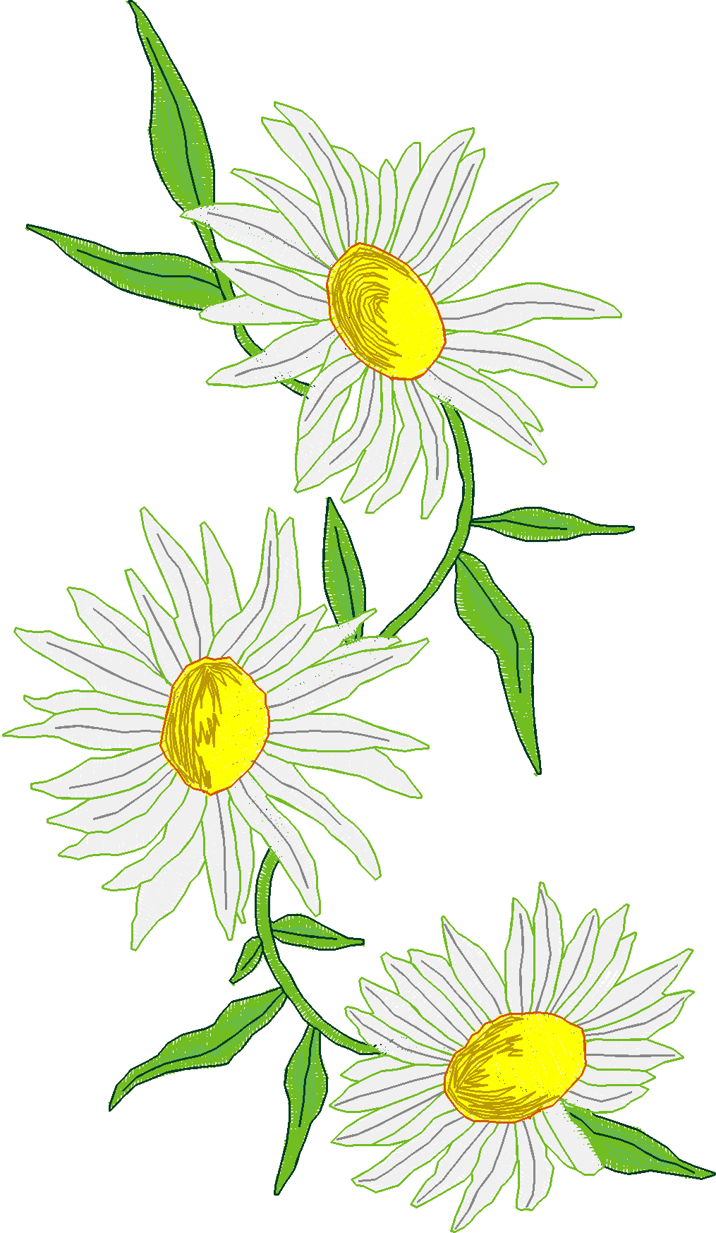 Jumbo - Flowers 1 (8)