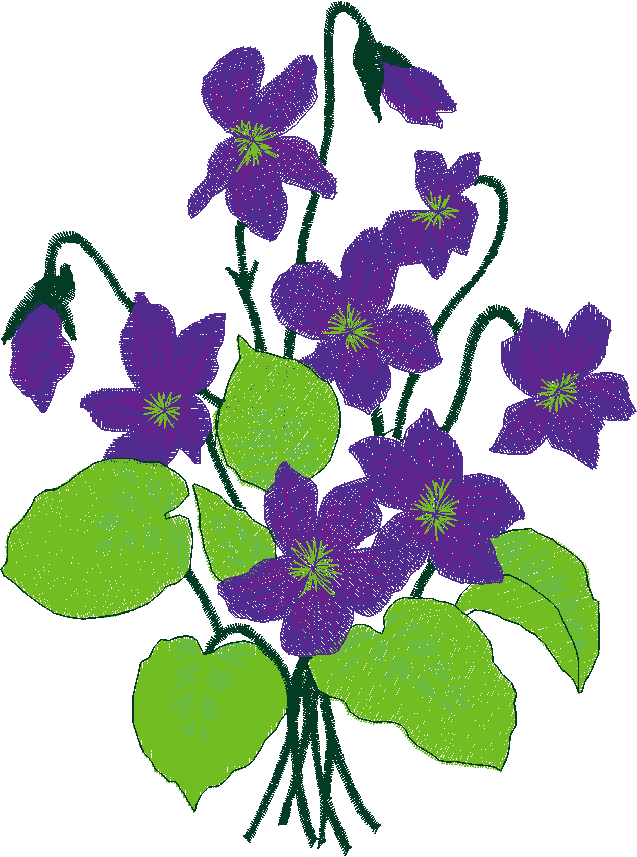 Jumbo - Flowers 1 (9)