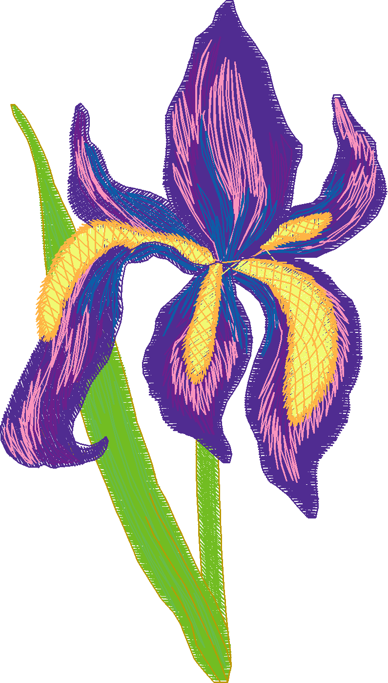 Jumbo  - Flowers 2  (10)