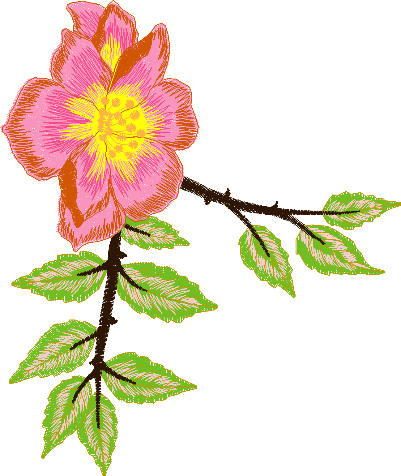 Jumbo  - Flowers 2  (12)