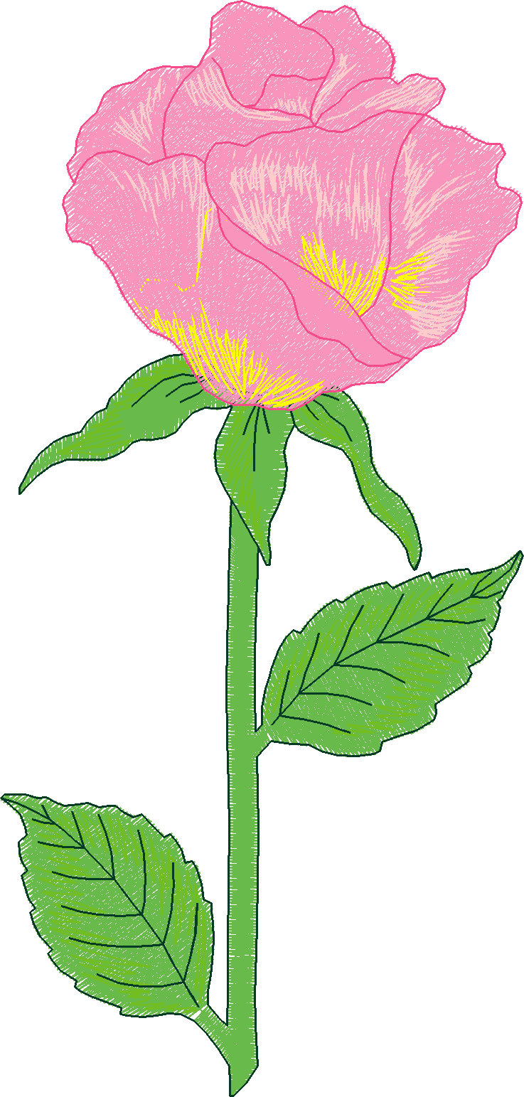 Jumbo  - Flowers 2  (3)