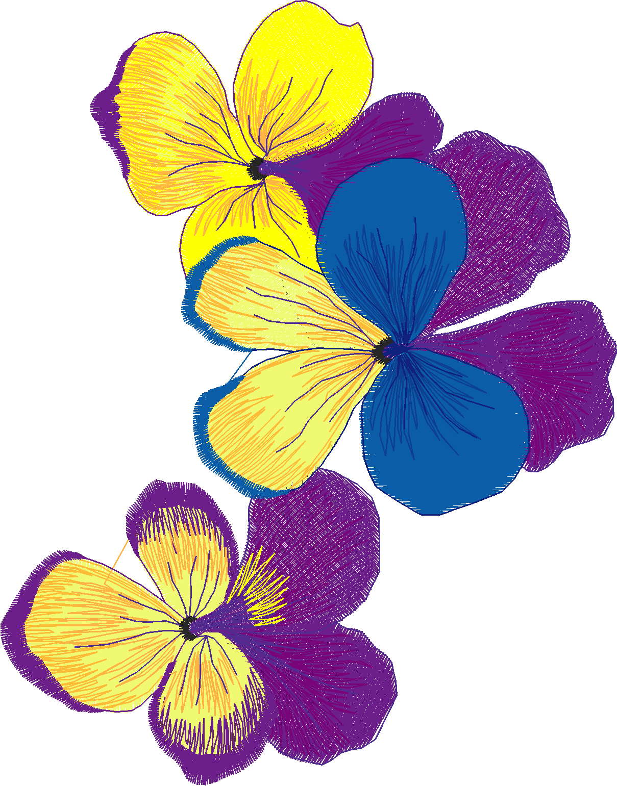 Jumbo  - Flowers 2  (4)