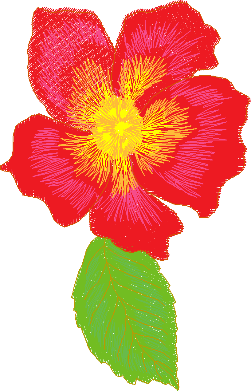 Jumbo  - Flowers 2  (6)