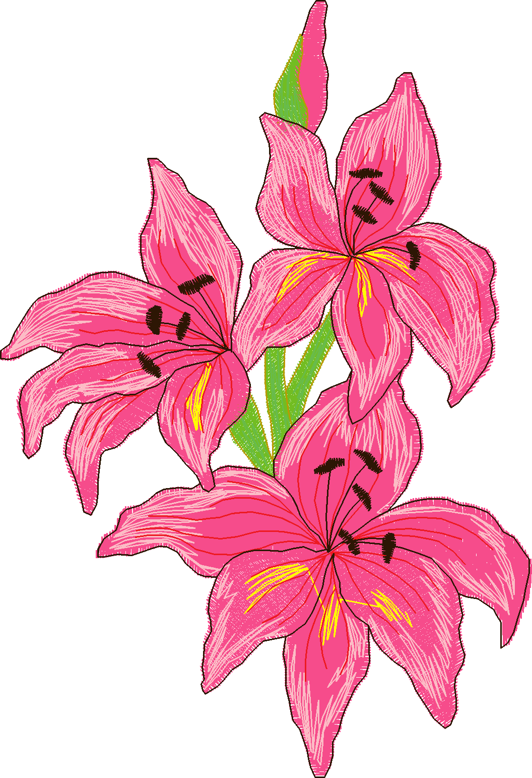 Jumbo  - Flowers 2  (7)