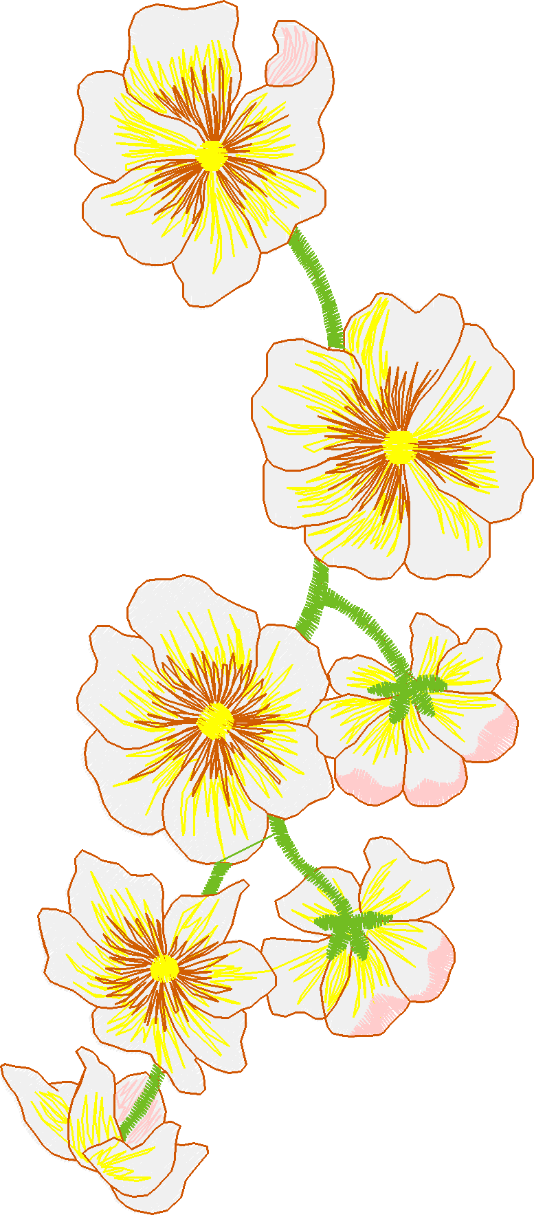 Jumbo  - Flowers 2  (8)