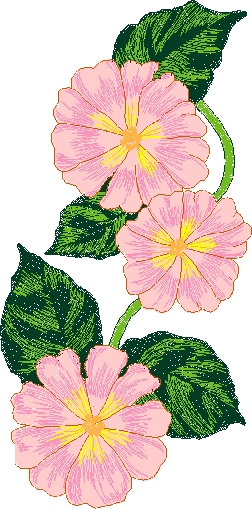 Jumbo  - Flowers 2  (9)