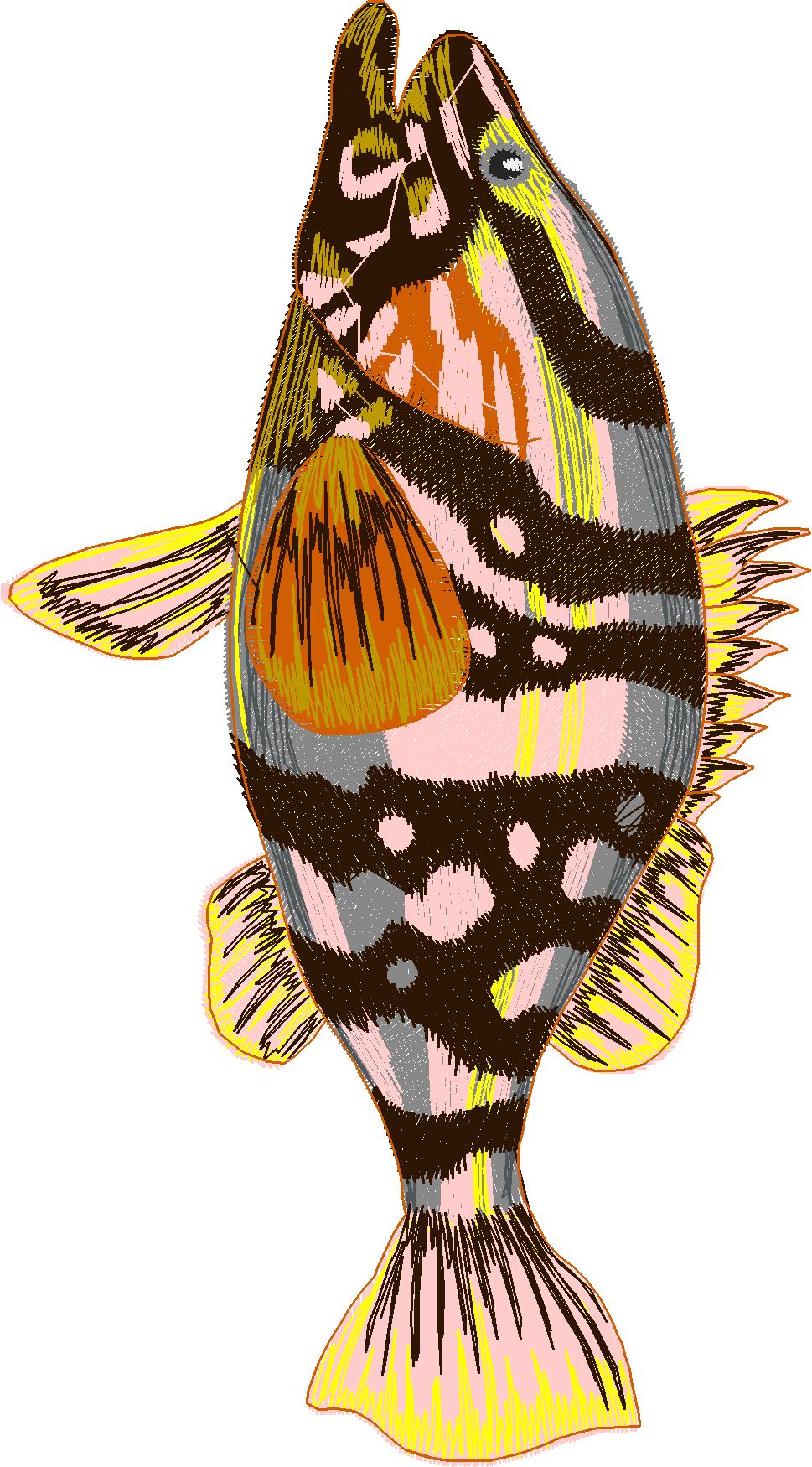 Jumbo - Game Fish 1  (11)