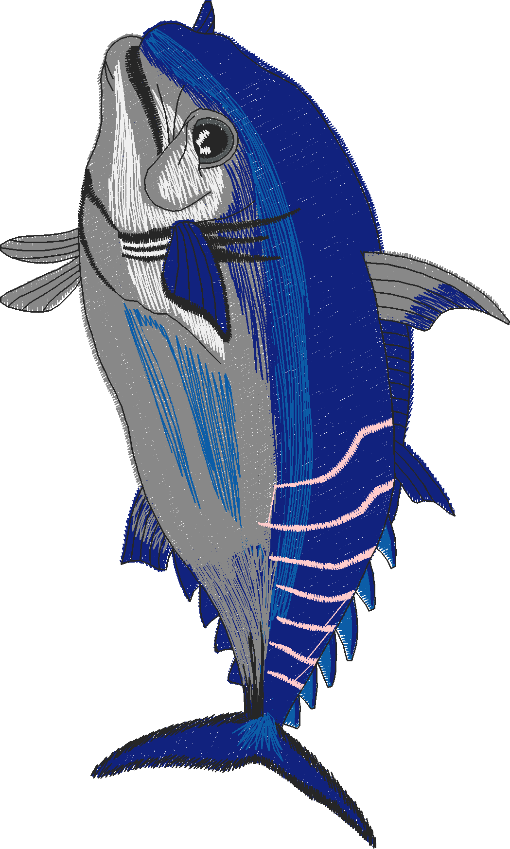 Jumbo - Game Fish 1  (12)