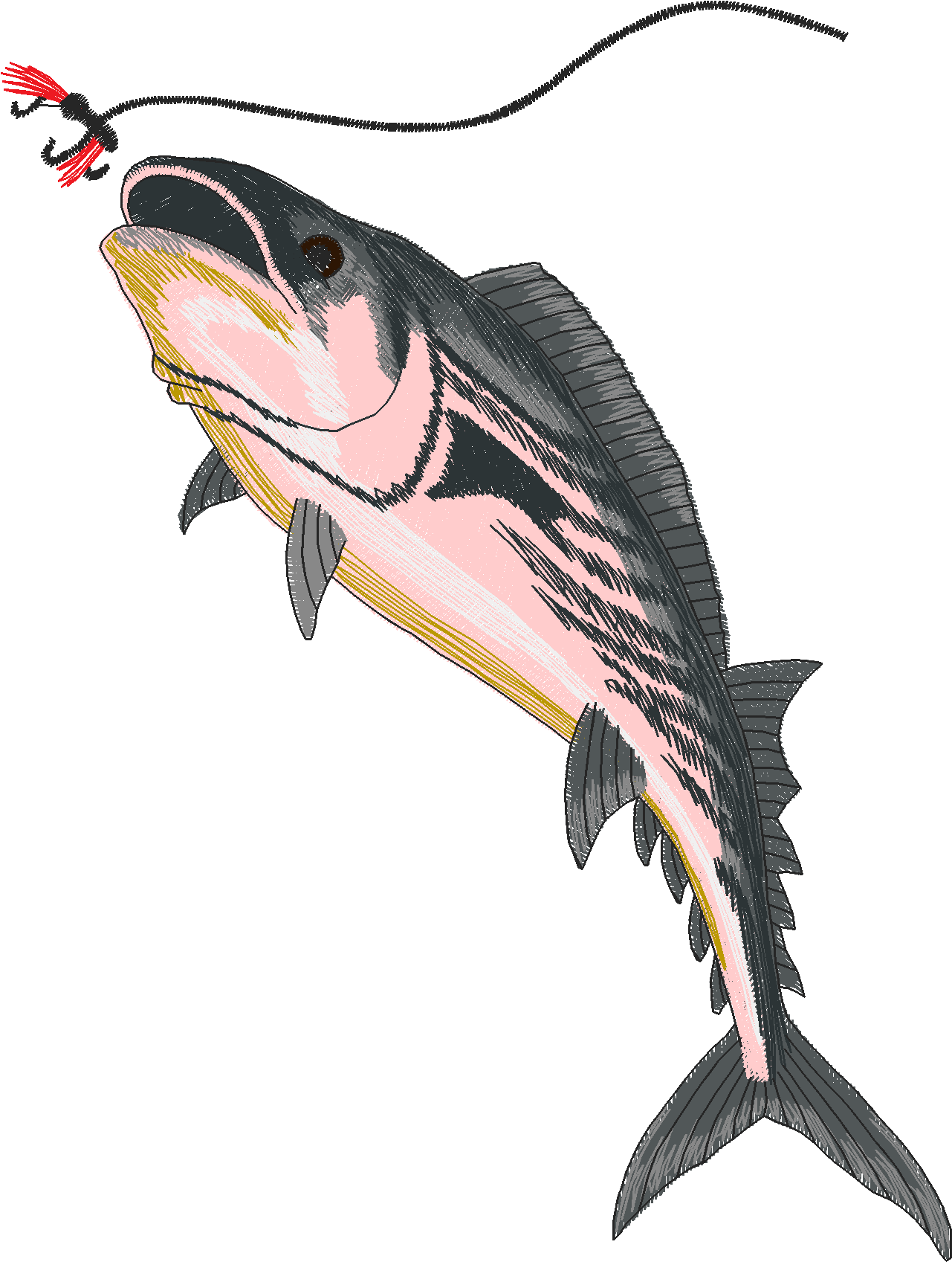 Jumbo - Game Fish 1  (13)