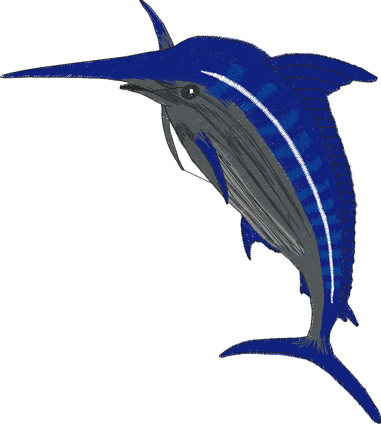 Jumbo - Game Fish 1  (5)