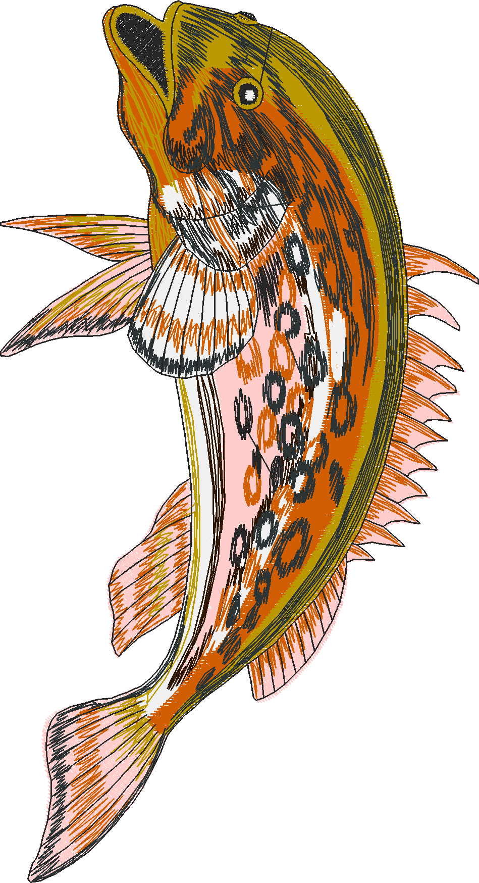 Jumbo - Game Fish 1  (6)