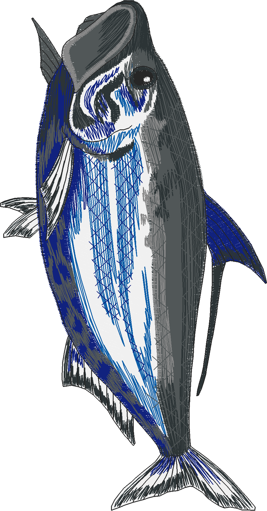 Jumbo - Game Fish 1  (7)