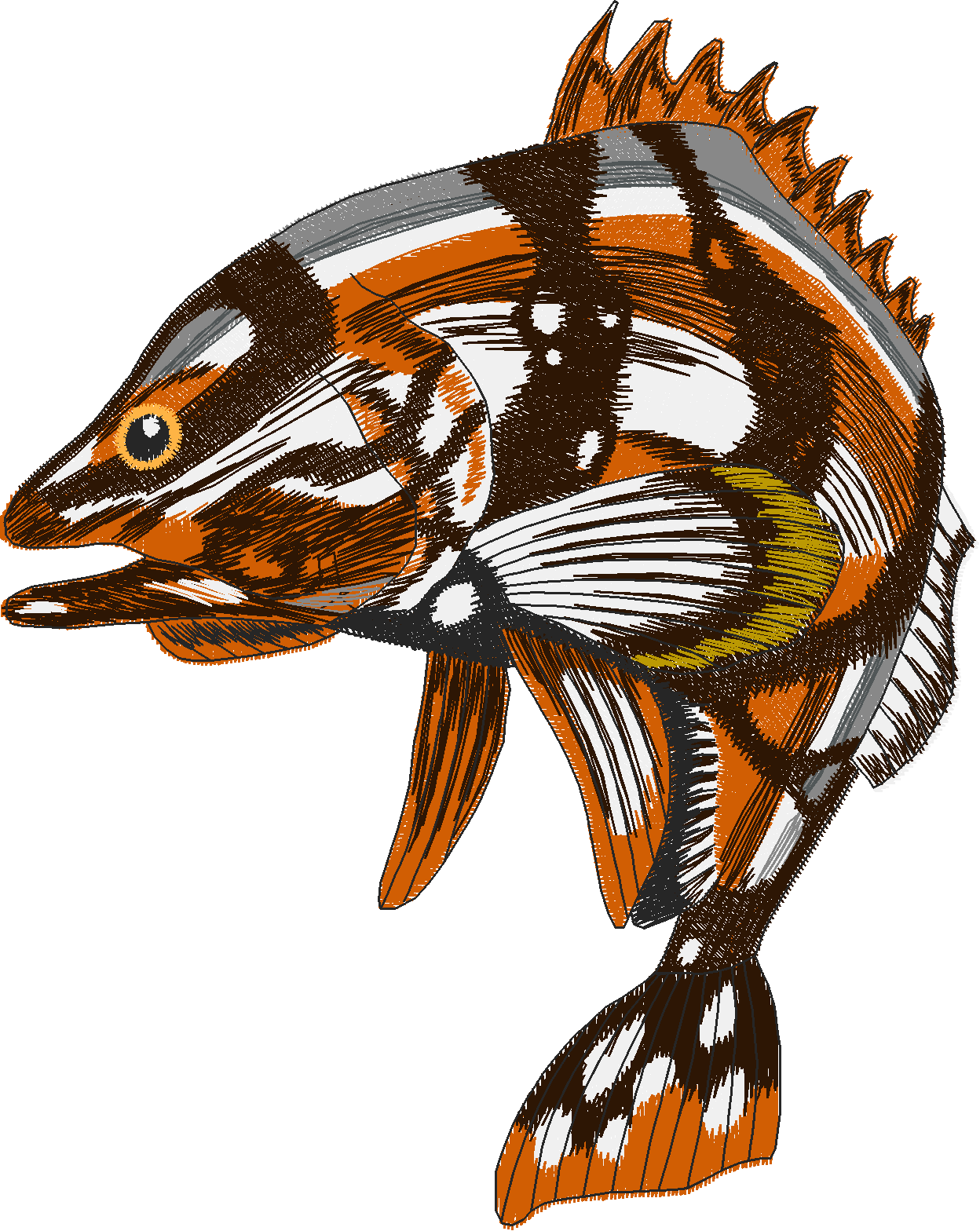 Jumbo - Game Fish 1  (9)