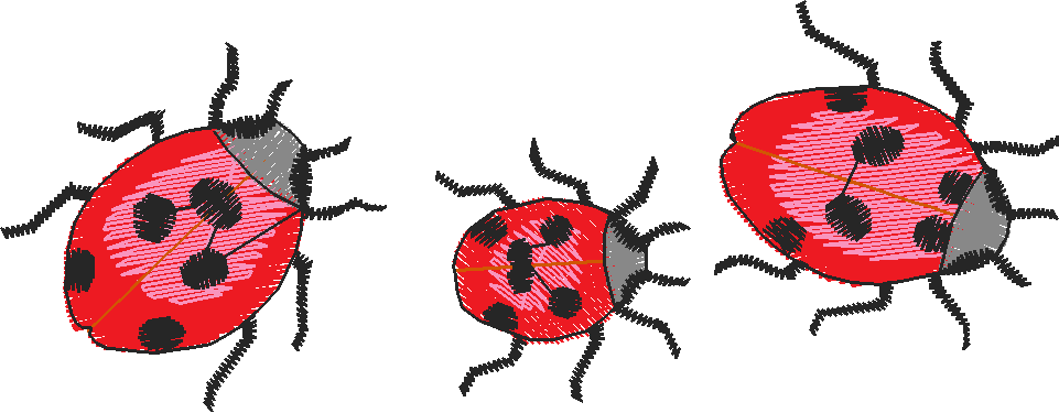 Jumbo - Garden 1  (1)