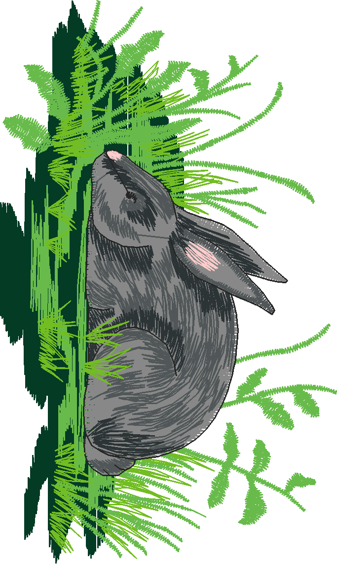 Jumbo - Garden 1  (11)