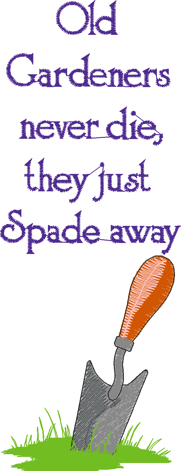 Jumbo - Garden 1  (4)