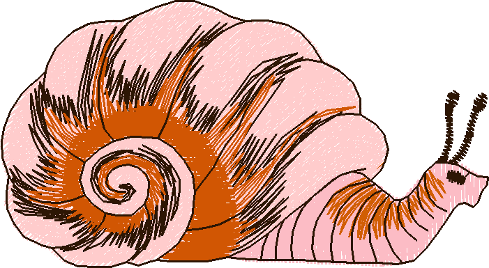 Jumbo - Garden 1  (5)