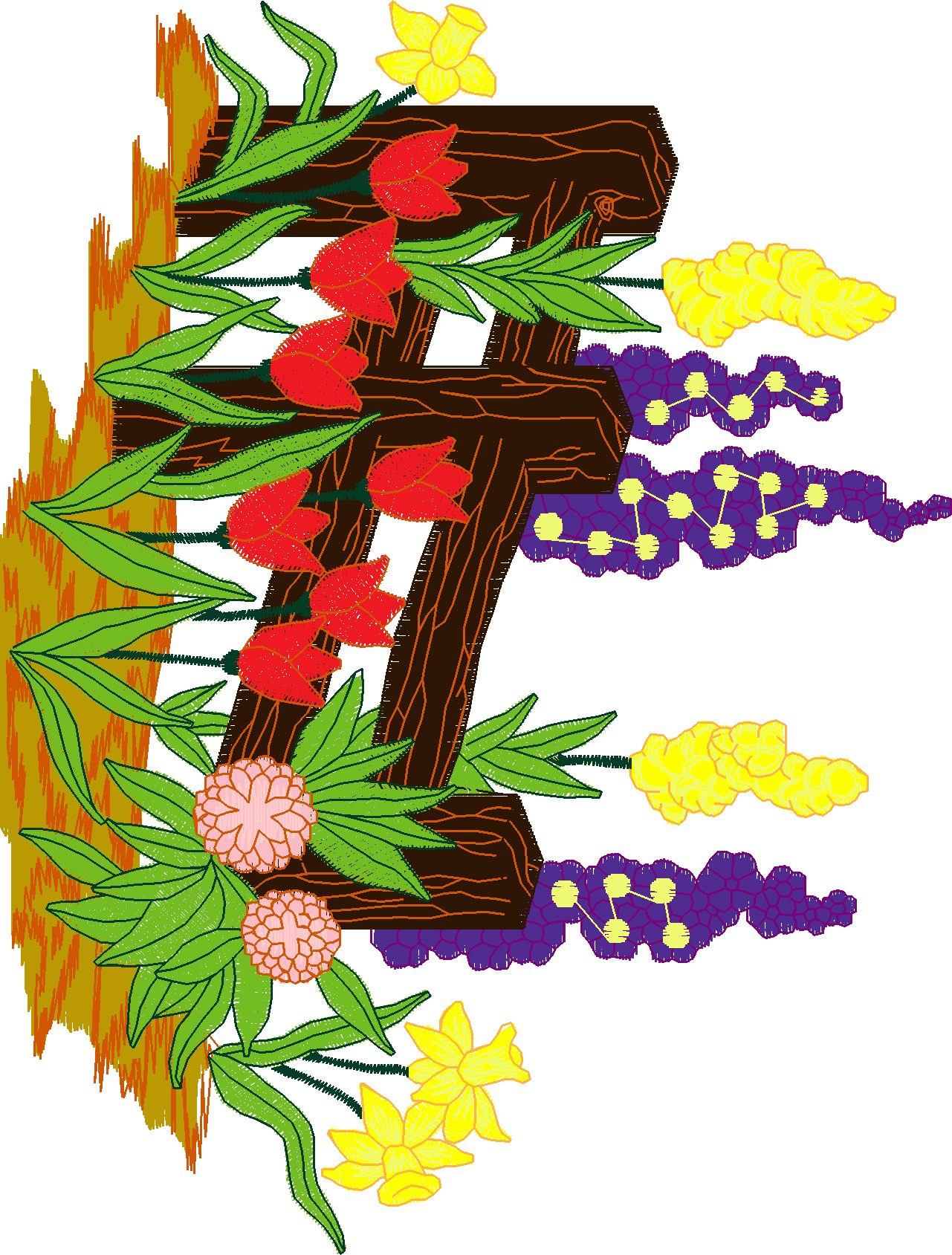 Jumbo - Garden 1  (8)