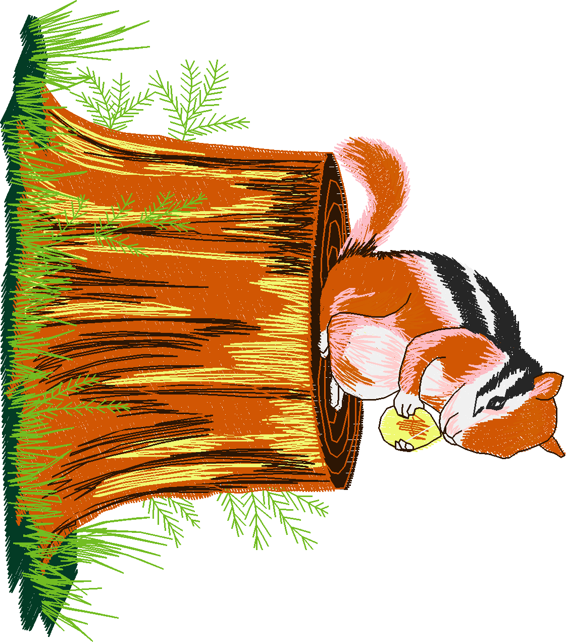 Jumbo - Garden 1  (9)