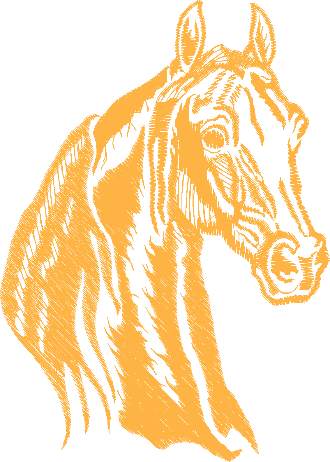 Jumbo - Horses 1  (2)