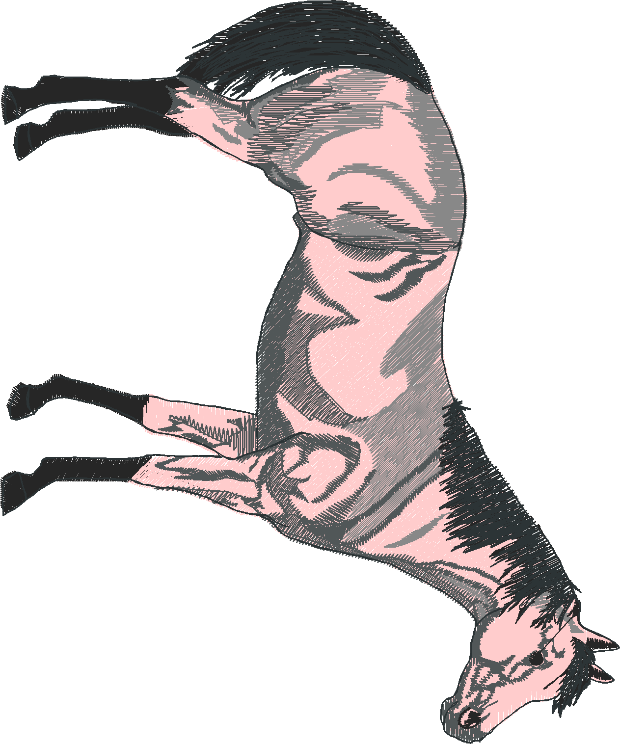 Jumbo - Horses 1  (9)