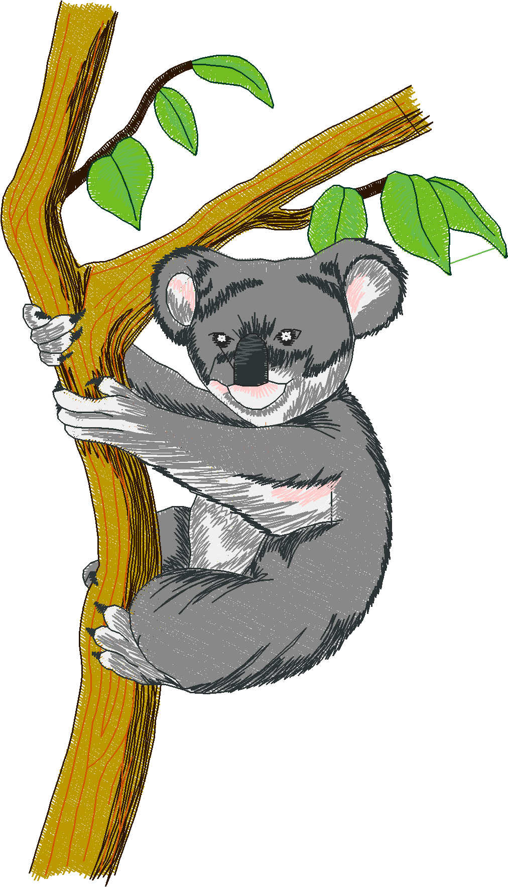 Jumbo - Pandas & Koalas 1  (1)